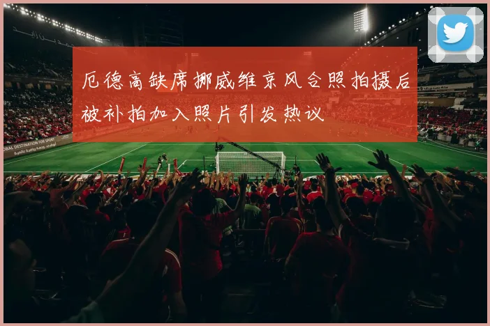 厄德高缺席挪威维京风合照拍摄后被补拍加入照片引发热议
